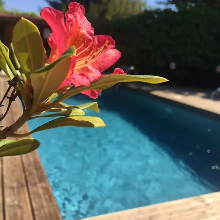 Maison d'hôtes Le Temps Des Pauses *